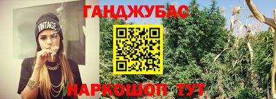 мет Можга