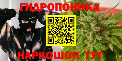 мет Можга