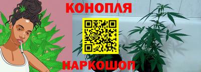 спайс Моздок