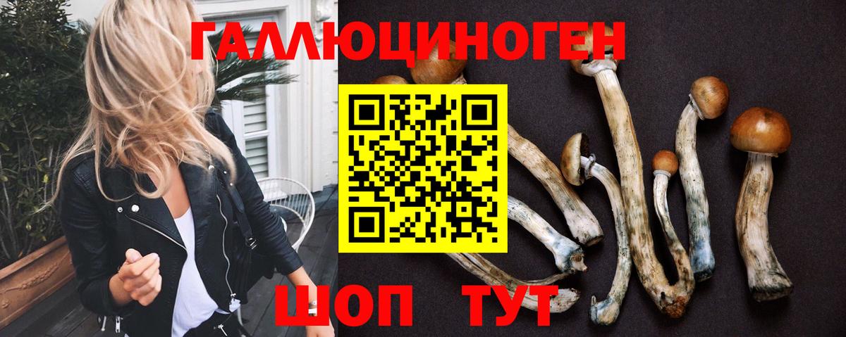 Галлюциногенные грибы мухоморы  Вход с VPN  Тавда 