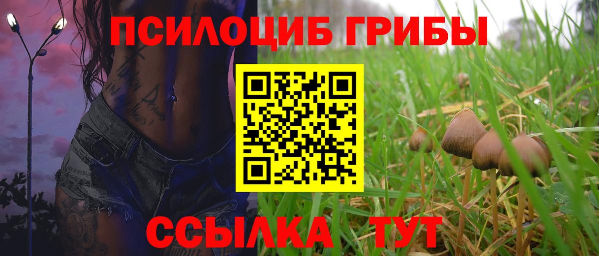 Галлюциногенные грибы Magic Shrooms Тавда